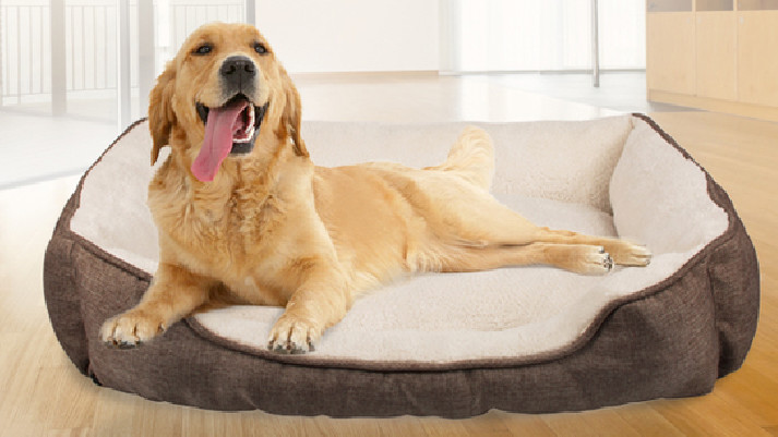 Latest company case about Pet Bed Cushion Luxury Modern Pet Dog Bed