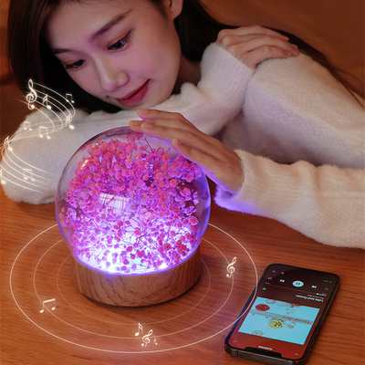 Creative Everlasting Flower Music Night Light Wireless Speaker Colorful Atmosphere Light Home Decoration with Remote Con