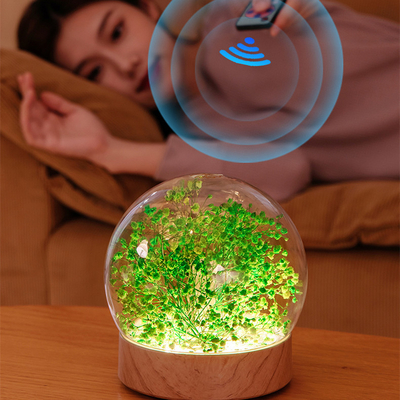 Creative Everlasting Flower Music Night Light Wireless Speaker Colorful Atmosphere Light Home Decoration with Remote Con