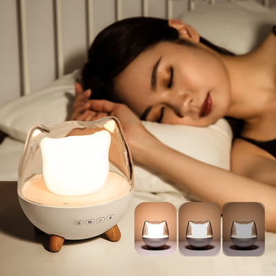 Creative Cute Cat Sleeping Night Light Wireless Speaker Colorful Atmosphere Light Home Decoration Music Night light For