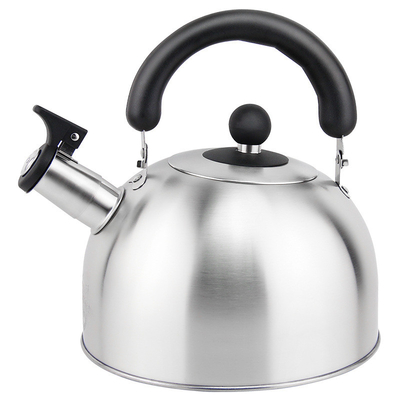 Household stainless steel electric OEM tea pot hot water whistling kettle