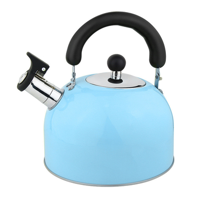 Household stainless steel electric OEM tea pot hot water whistling kettle