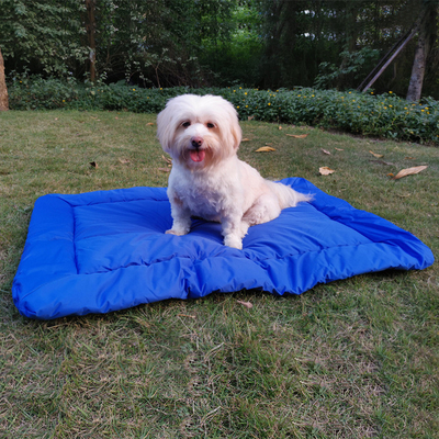 plush Pet bed cushion elevated pet bed outdoor waterproof foldable portable carrier dog mat