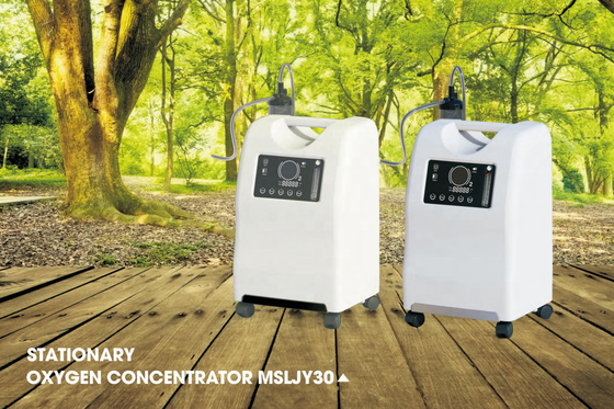Hot selling 10L China factory price for the Portable Oxygen Concentrators  for Sale JY30
