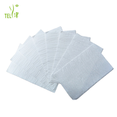 Factory Direct Sale 4 High Tensile Strength Industrial Tissue Dry Wet Amphibious