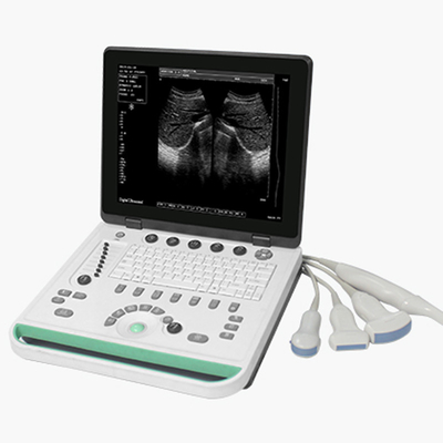 15 inch Cheap Hotsell SS-7 Vet Ultrasound Portable Machine Equipment High Image