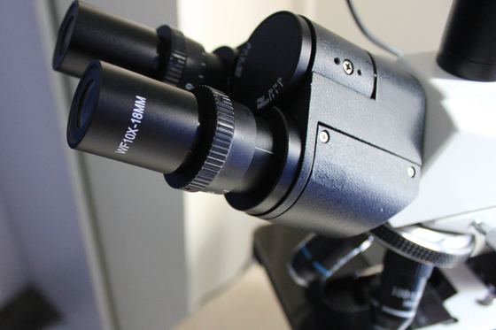 Cheapest Portable Binocular Biological Microscope with Camera