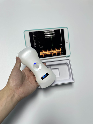 Convex Linear  Phased Transvaginal Wireless 3 in 1 Portable Ultrasound Scanner Probe