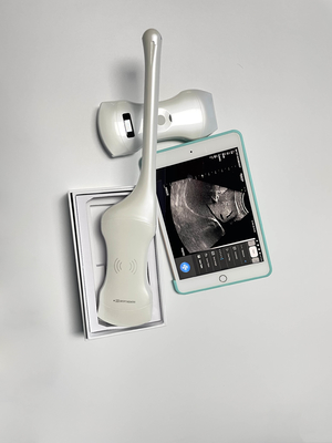 Convex Linear  Phased Transvaginal Wireless 3 in 1 Portable Ultrasound Scanner Probe