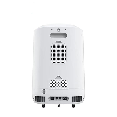 10 Liter Portable Oxygen Concentrator