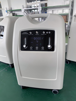 Hot sale Medical 10L Household double flow oxygen generator & home use Oxygen Concentration