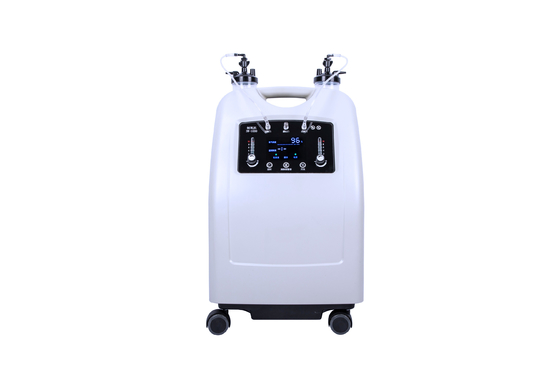 Hot sale Medical 10L Household double flow oxygen generator & home use Oxygen Concentration
