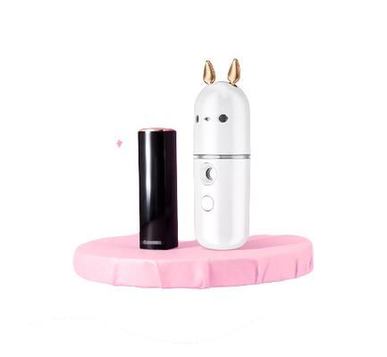 Factory Price Upgraded No Leakage Mini Cat Shape Nano Sprayer / Water Replenishment Instrument SUCEWT04