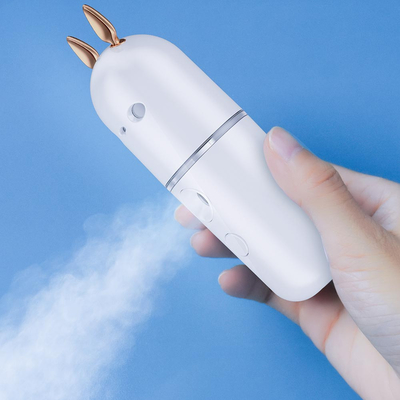 Factory Price Upgraded No Leakage Mini Cat Shape Nano Sprayer / Water Replenishment Instrument SUCEWT04