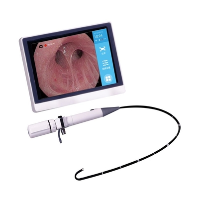 Video nasal endoscope/endoscope vagina