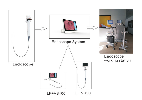 Video nasal endoscope/endoscope vagina