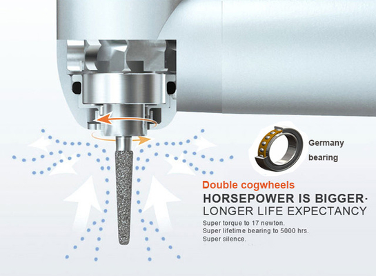 Foshan  dental handpiece supply