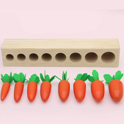 Baby Carrot Harvest Wooden Montessori Toys Matching Game