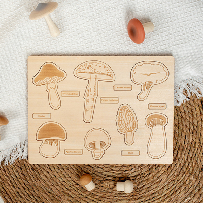 2 To 4 Years Mushroom Cognition Board Baby Developmental Exercises Hands On Ability