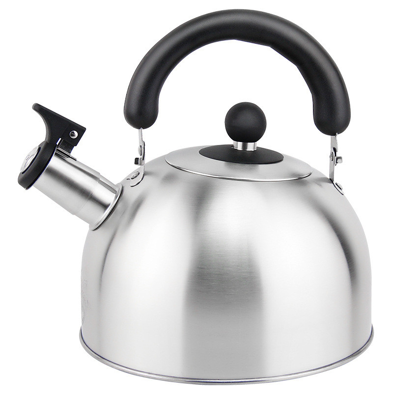 Household stainless steel electric OEM tea pot hot water whistling kettle