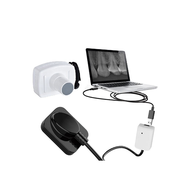 Factory price for the 21*21 rvg dental sensordental sensor digital dental x-ray FP12