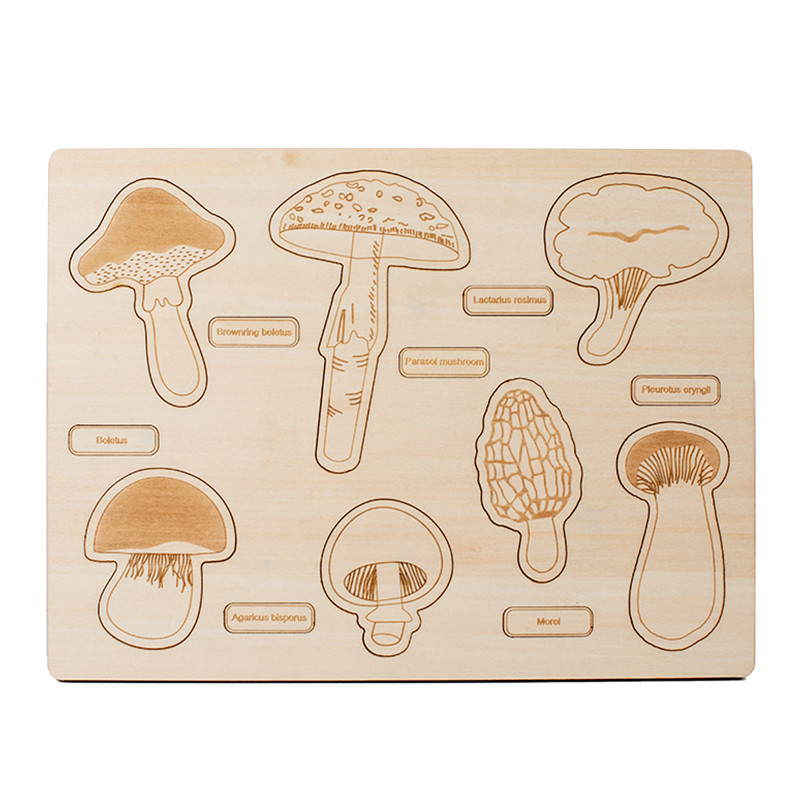 2 To 4 Years Mushroom Cognition Board Baby Developmental Exercises Hands On Ability